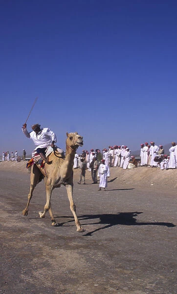 20069025. OMAN Central Participant in annual 50km camel race across the desert
