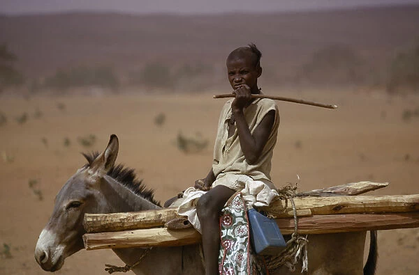 20075122. NIGER People Children Young boy on donkey carrying wooden stakes near Bouza