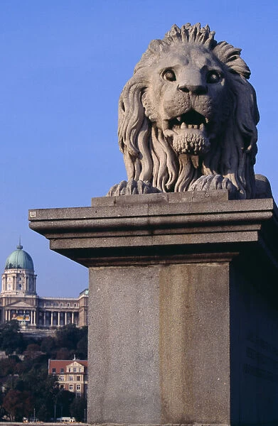 20081456. HUNGARY Budapest Stone statue of lion on Chain Bridge