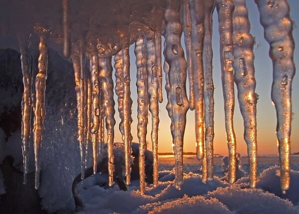 Icicles at sunset, Finland, november
