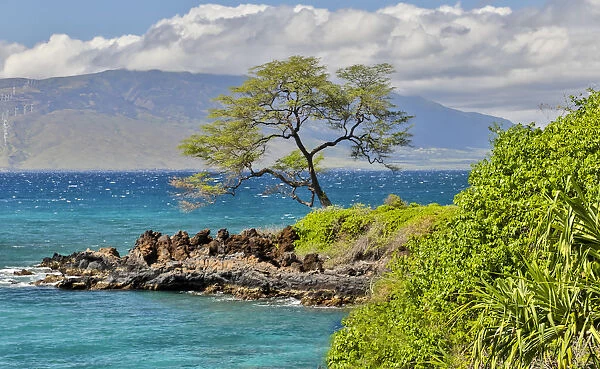 Coastline along Wailea Beach Path near Polo Beach Park, Maui, Hawaii