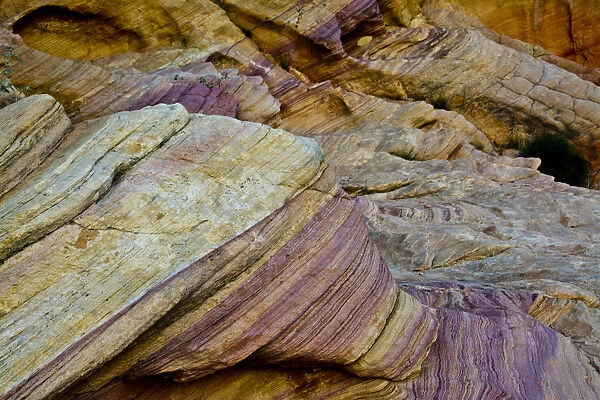 Colorful rocks, Rainbow Vista, Valley of Fire State Park, Overton, Nevada, USA