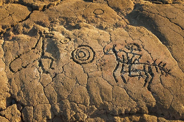 Hawaiian petroglyphs on the Kings Trail at Waikoloa, Kohala Coast, Big Island, Hawaii
