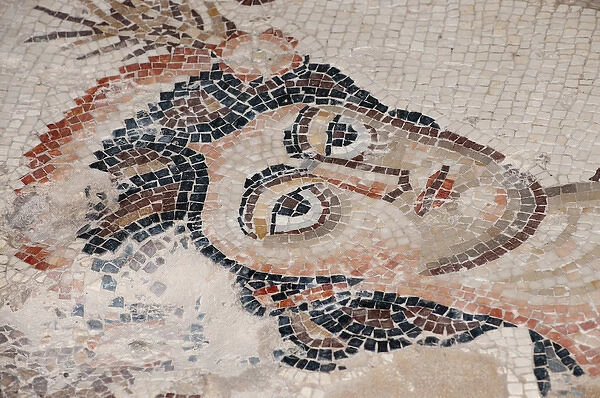 Israel, Lower Galilee, floor mosaic portrait of a woman from the mishnaic period