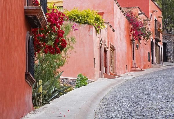 North America, Mexico, Guanajuato state, San Miguel de Allende. A colorful neighborhood