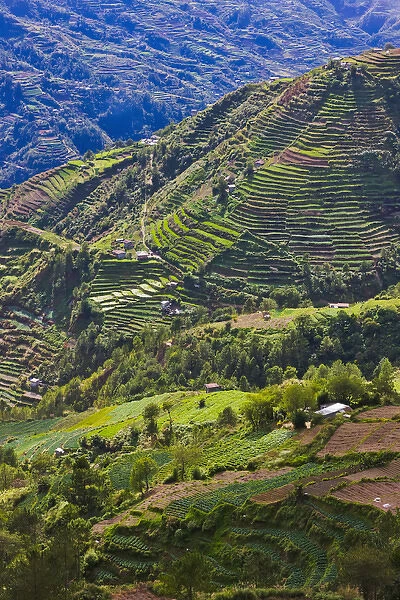 The Rice Terraces of the Philippine Cordilleras, UNESCO World Heritage site, Banaue