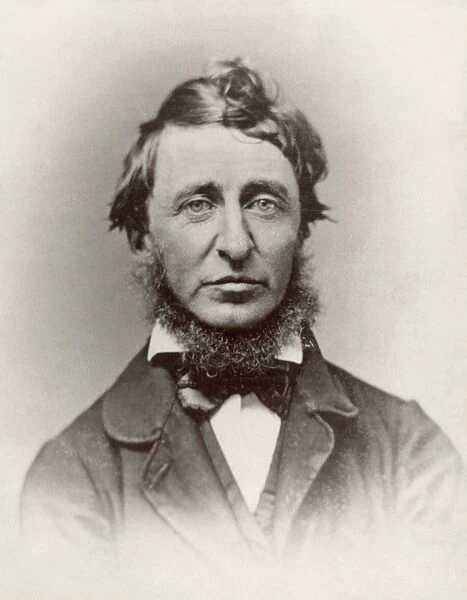 (1817-1862). American writer. 19th century copy photograph of a daguerreotype, June 1856, by Benjamin D. Maxham