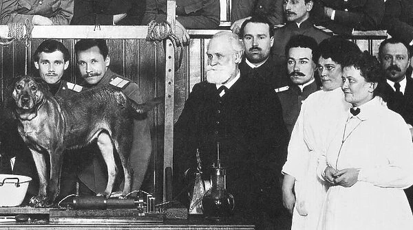 (1849-1936). Russian physiologist. Pavlov (center, with beard) with assistants and students at the Imperial Military Academy of Medicine, St. Petersburg, 1912-14, prior to a demonstration of his experiment on a dog