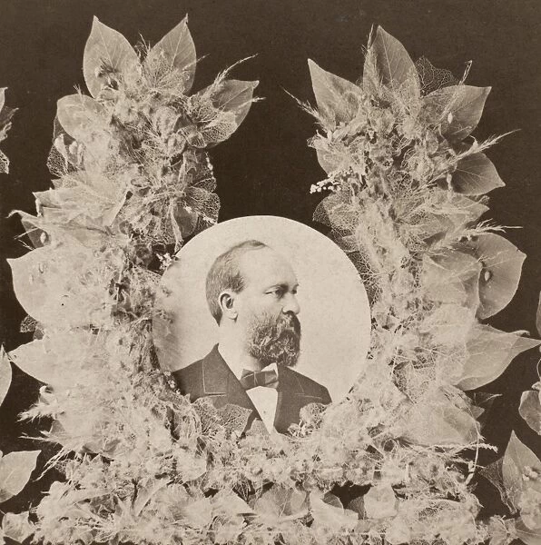 20th President of the United States. Stereograph portrait, 1881