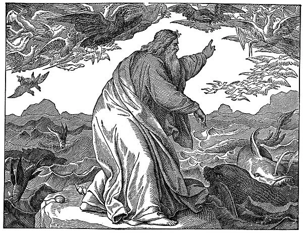 5th DAY OF CREATION. (Genesis 1: 20-23). Wood engraving, 19th century