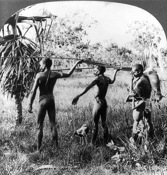 ABORIGINAL HUNTERS, c1921. Aboriginal natives hunting kangaroo with spears, Queensland, Australia