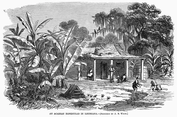 ACADIAN HOMESTEAD, 1867. An Acadian homestead in Louisiana. Engraving after a sketch by A