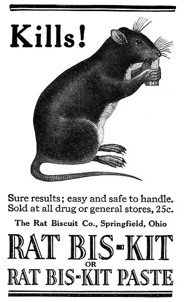 AD: RAT POISON, 1922. American advertisement for the Rat Biscuit Company, 1922