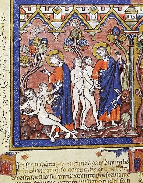 ADAM AND EVE. The Creation of Eve (Genesis 2: 15-18, 21-23). French manuscript illumination, c1250
