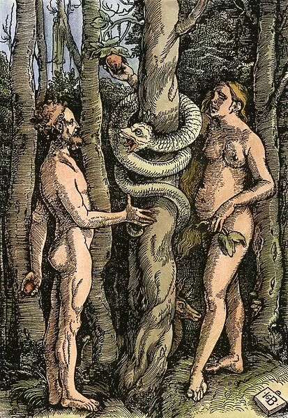 ADAM & EVE. Woodcut by Hans Baldung Grien, 1514