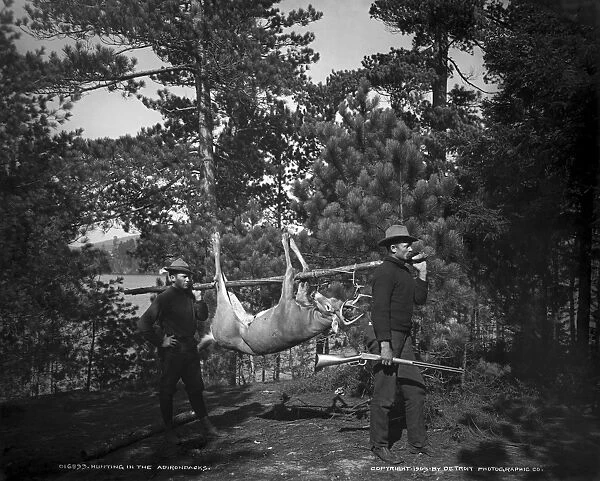ADIRONDACKS: HUNTING, c1903. Hunters carrying a deer carcass in the Adirondacks, New York