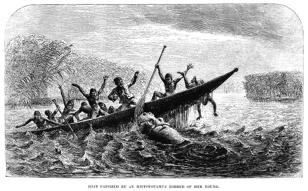 AFRICA: EXPLORATION. Boat Capsized by an Hippopotamus Robbed of Her Young. Engraving from Missionary Travels and Researches in South Africa by David Livingstone, 1857