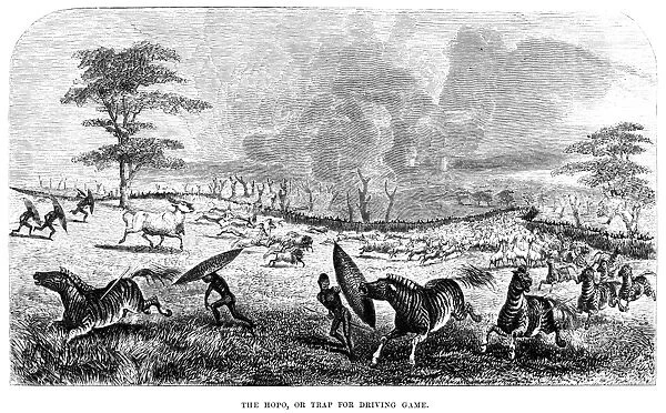 AFRICA: HUNTING. The Hopo, or Trap for Driving Game. Engraving from Missionary Travels and Researches in South Africa by David Livingstone, 1857