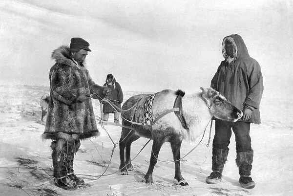 ALASKA: ESKIMOS. Two Eskimo men with a reindeer that dropped its horns, Alaska