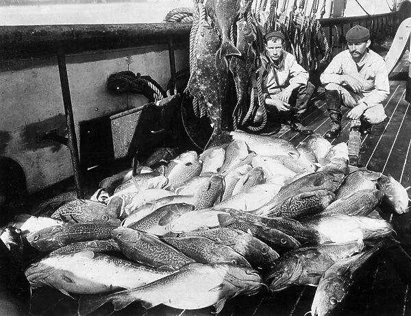ALASKA: FISHERMAN, c1920. Two commerical fishermen with halibut and codfish