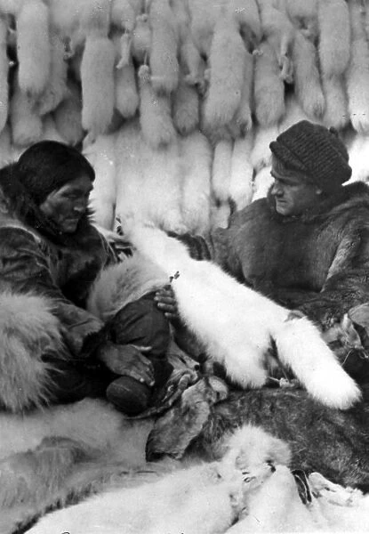 ALASKA: FUR TRADERS. A company trader buying white fox furs and other skins