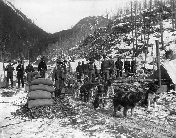 ALASKA: GOLD RUSH, c1897. Camp of gold prospectors with their sled dogs near the Dyea Canyon