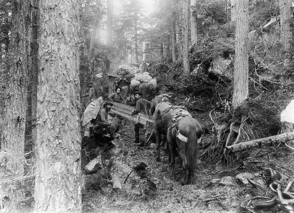 ALASKA: GOLD RUSH, c1897. Gold prospectors and their horses on part of the Dyea
