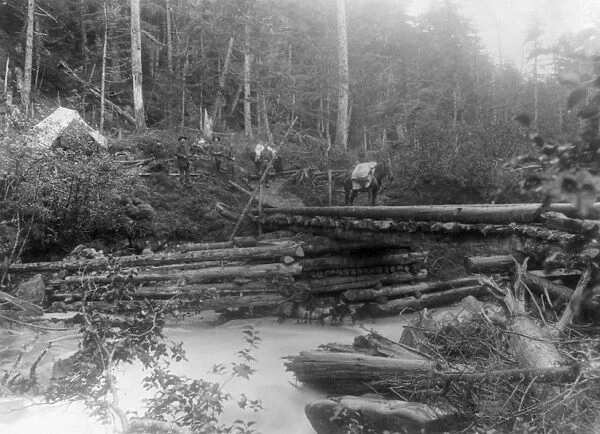 ALASKA: GOLD RUSH, c1897. Horse on bridge over a stream where toll was collected