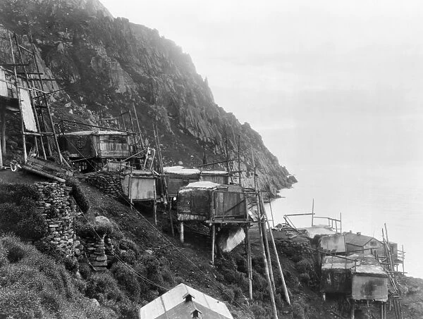 ALASKA: KING ISLAND. A view of the sea cliff dwellings in the village of Ukivok