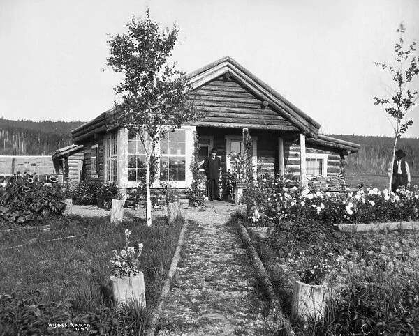 ALASKA: LOG CABIN, c1916. A man standing in front of his log cabin with a flower