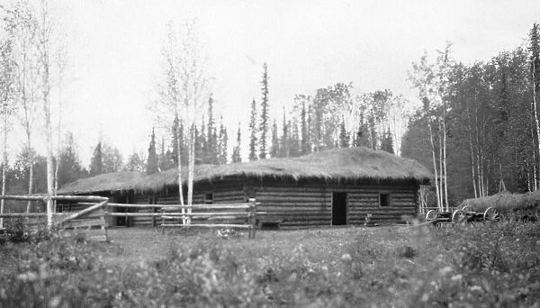 ALASKA: LOG CABIN. A log house with a thatched roof on a farm in Fairbanks, Alaska