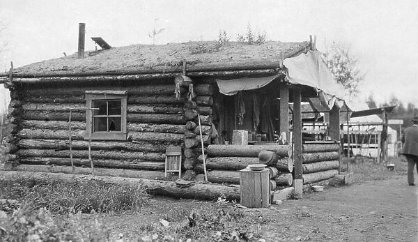 ALASKA: LOG CABIN. A small log cabin with a thatched roof in Alaska. Photograph