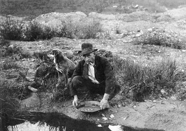 ALASKA: MINING, 1916. A miner panning for gold in Alaska. Photograph, 1916