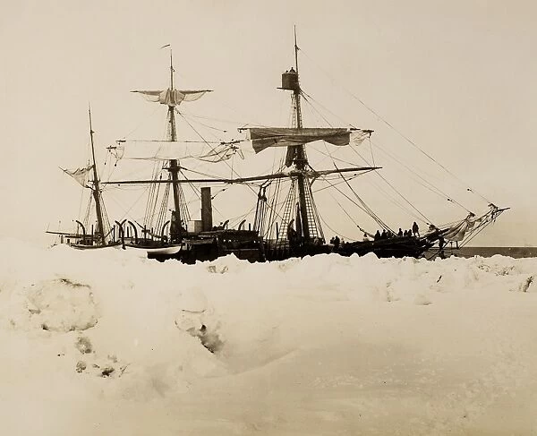 ALASKA: WHALING SHIP. The whaler Alexander straight up to the ice floor