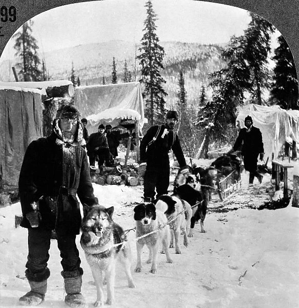 ALASKAN DOG SLED, c1900. A dog sled north of Arctic City, Alaska, on a branch of the Yukon River. Stereograph, c1900