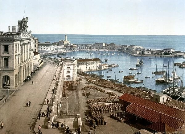 ALGERIA: ALGIERS, c1899. The harbor and the admiralty at Algiers, Algeria. Photochrome