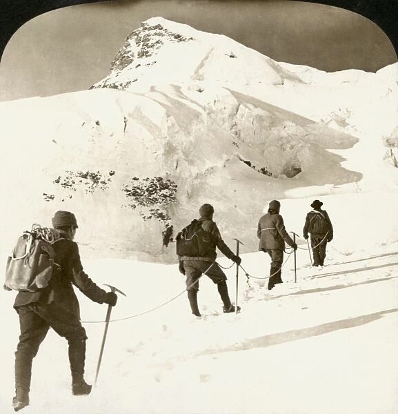 ALPINE MOUNTAINEERS, 1908. Ascent of Jungfrau, beginning final climb to the summit
