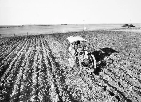 AMERICA: PLOWING, 1929. A subsoiler working in the beet fields of South Dakota