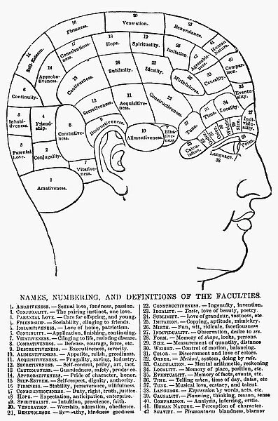 An American phrenological chart of 1869