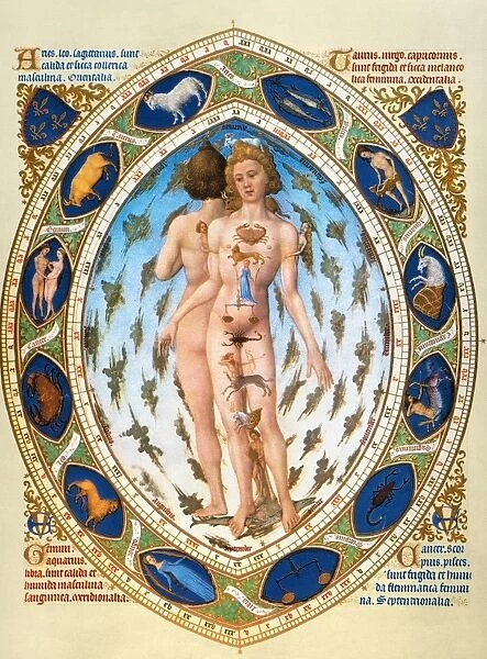 Anatomical  /  Astrological Man. Miniature depicting the influence of the zodiacal stars on the human body from the 15th century manuscript of the Tres Riches Heures of Jean, Duke of Berry