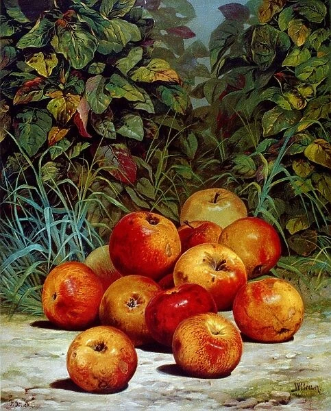 APPLES, 1868. Lithograph by Currier and Ives, 1868