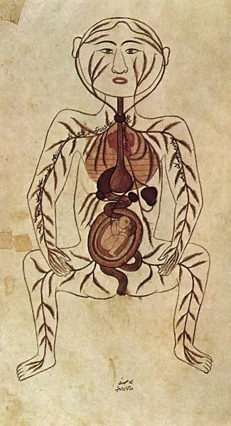 ARAB ANATOMICAL DRAWING. Diagram of a pregnant woman from a Persian copy of an 11th century Arabic medical text
