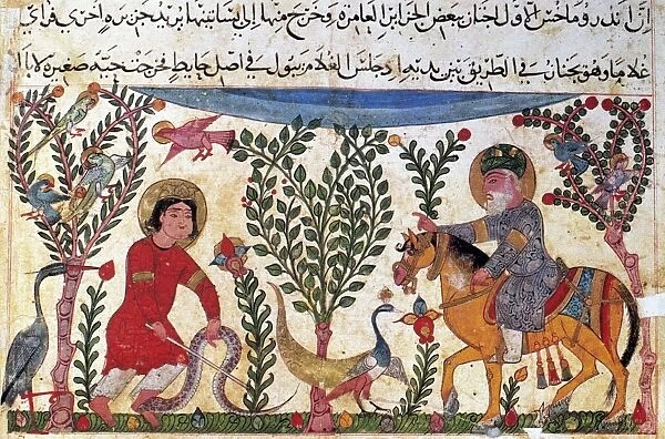 ARABIC PHYSICIAN. An Arabic physician watches as a boy suffering from a snakebite cures himself by eating the snake and some laurel berries. Illumination from the Book of Antidotes, by Pseudo-Galen, c1199