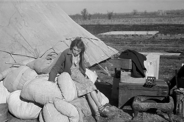 ARKANSAS: FLOOD CAMP, 1937. A young girl in a camp for white flood refugees at Forrest City
