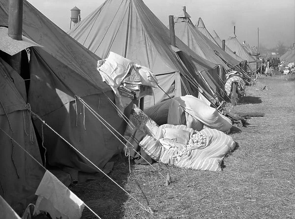 ARKANSAS: REFUGEE CAMP. Tents in the camp for black flood refugees in Forrest City, Arkansas