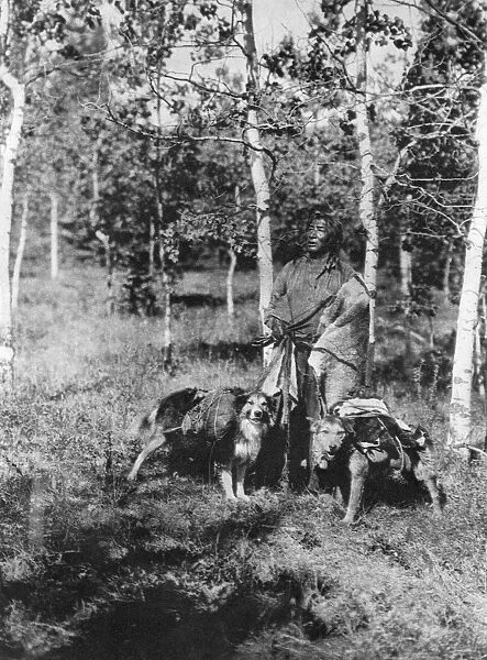 ASSINIBOIN HUNTER, 1926. A hunter of the Assiniboin people with pack-laden dogs