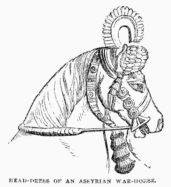 ASSYRIAN WARHORSE. Headdress of an ancient Assyrian warhorse