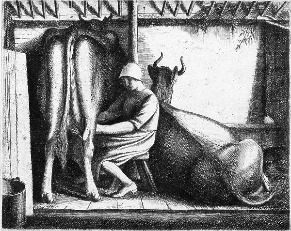 AUSTIN: MILKMAID. A milkmaid milking a cow. Etching by English artist Frederick Austin