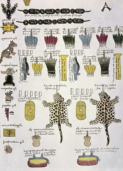 AZTEC TRIBUTE LIST, c1540. Visual record of tributes the Aztecs collected from their subjects