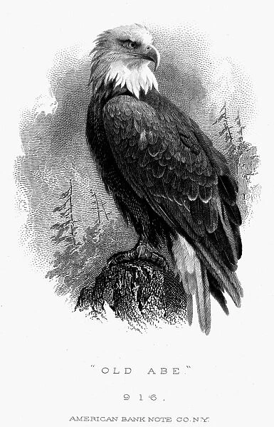 BALD EAGLE, 1870. Old Abe, the bald eagle which was the mascot of the Eight Wisconsin Regiment during the American Civil War. American banknote engraving, c1870